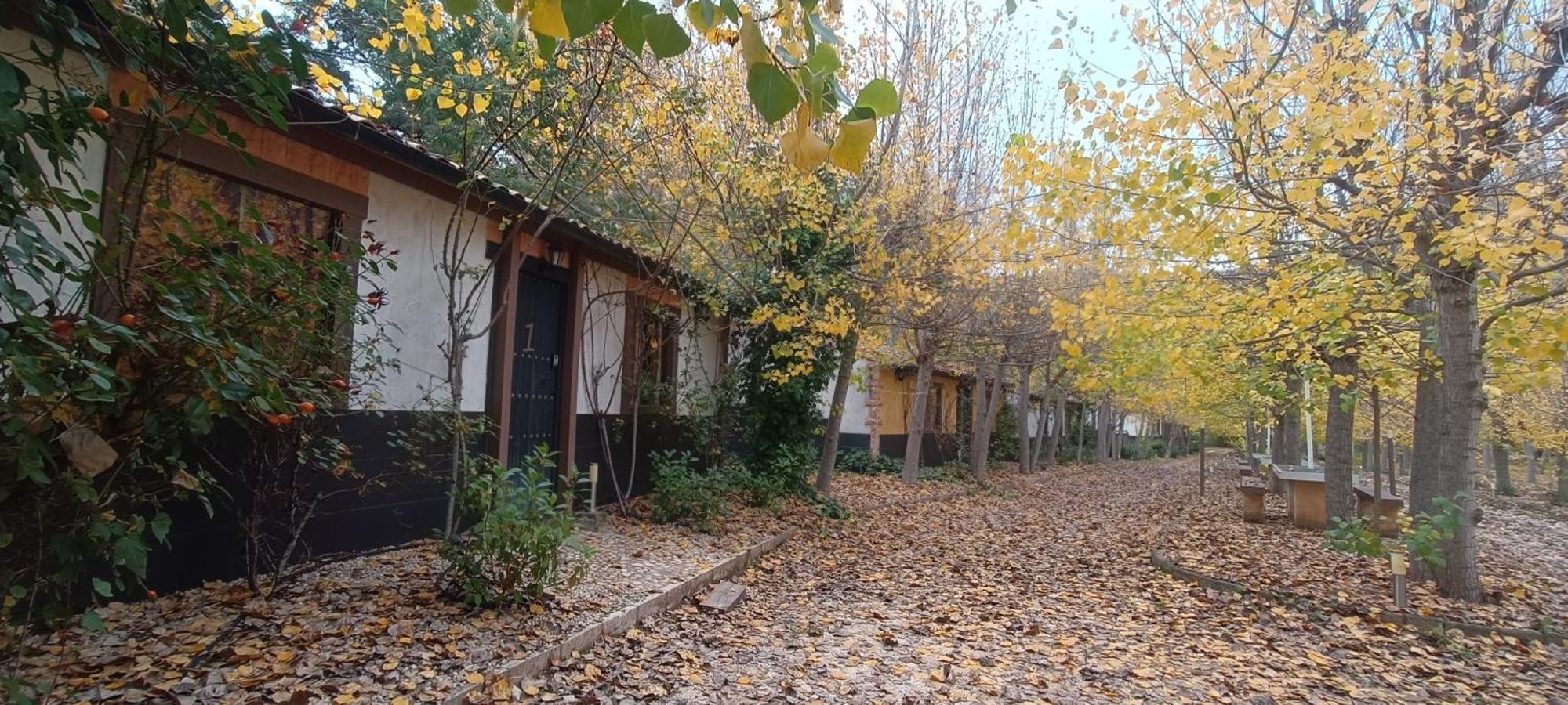 Casas Rurales Vado Del Rio Tus Cortijo Prados Exteriör bild