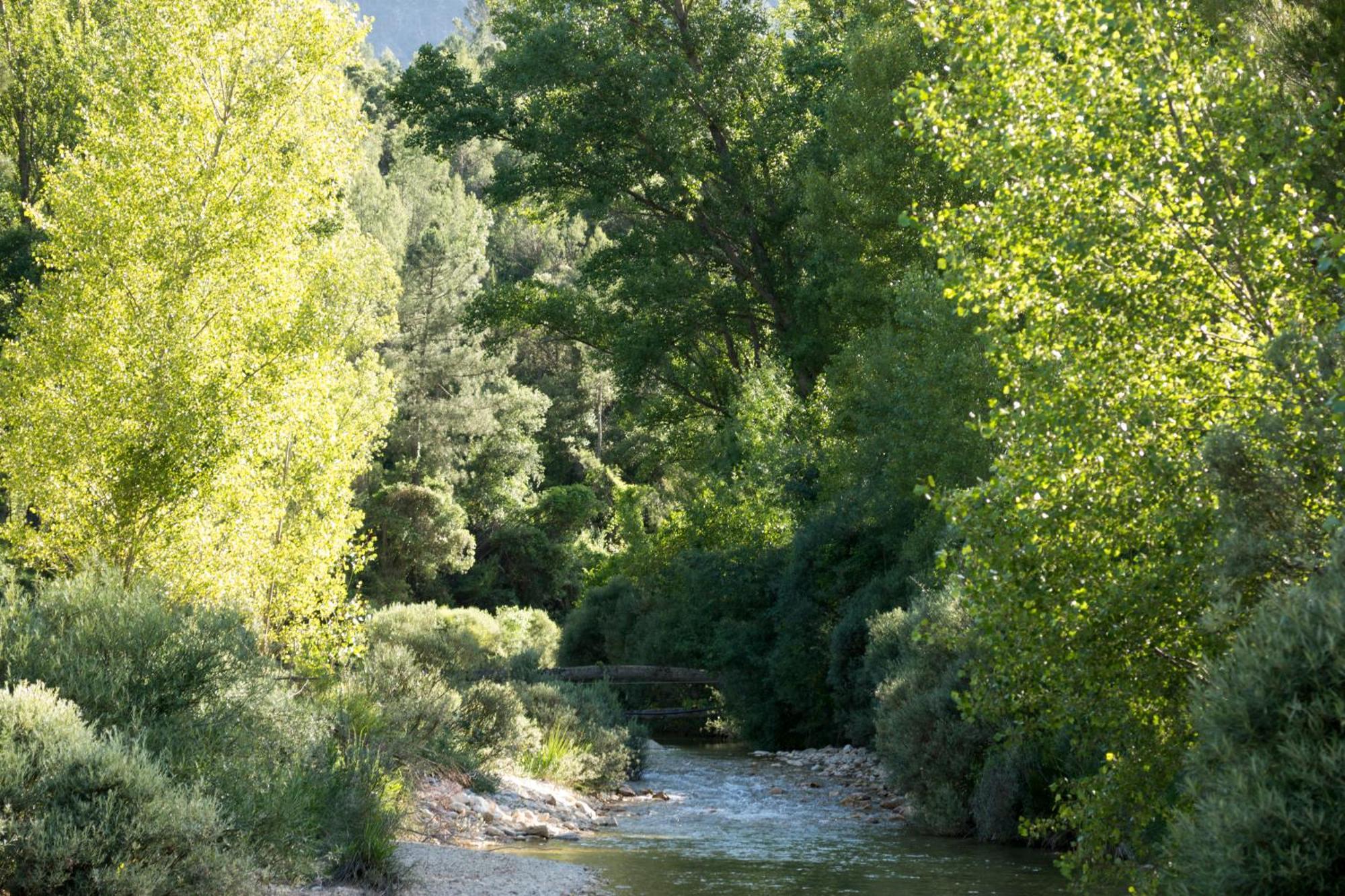 Casas Rurales Vado Del Rio Tus Cortijo Prados Exteriör bild