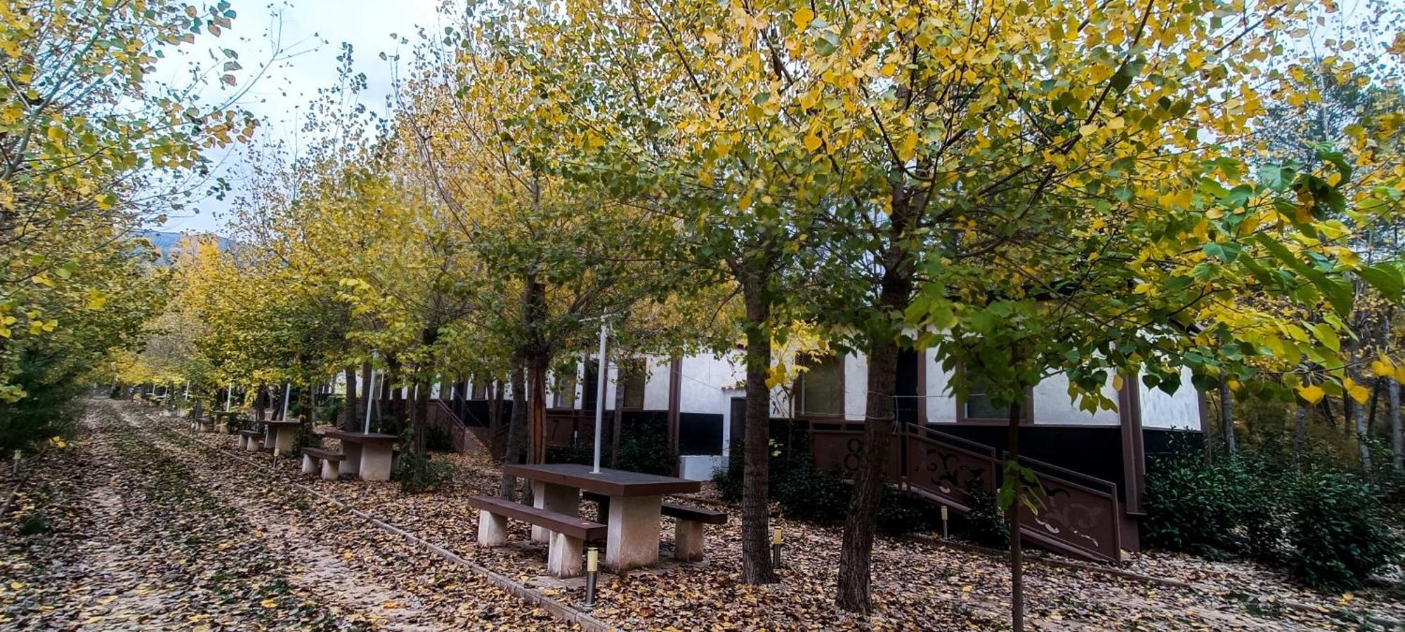 Casas Rurales Vado Del Rio Tus Cortijo Prados Exteriör bild