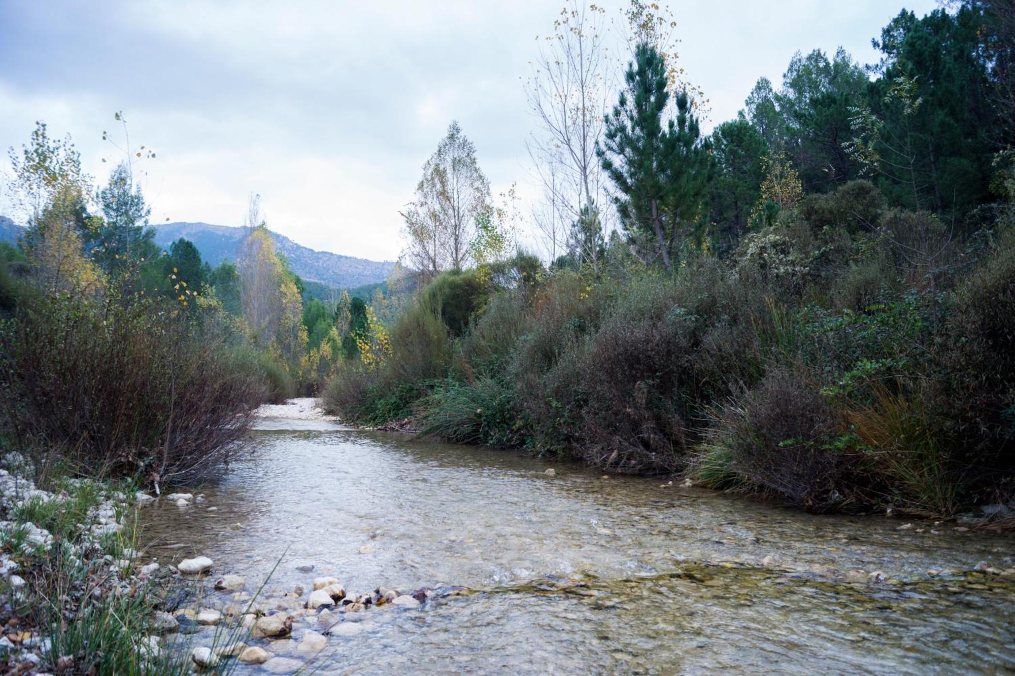 Casas Rurales Vado Del Rio Tus Cortijo Prados Exteriör bild